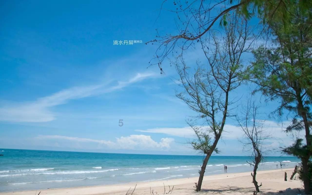 动物滑动拼图